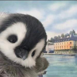 𝓔𝓽𝓮𝓻𝓷𝓪𝓵