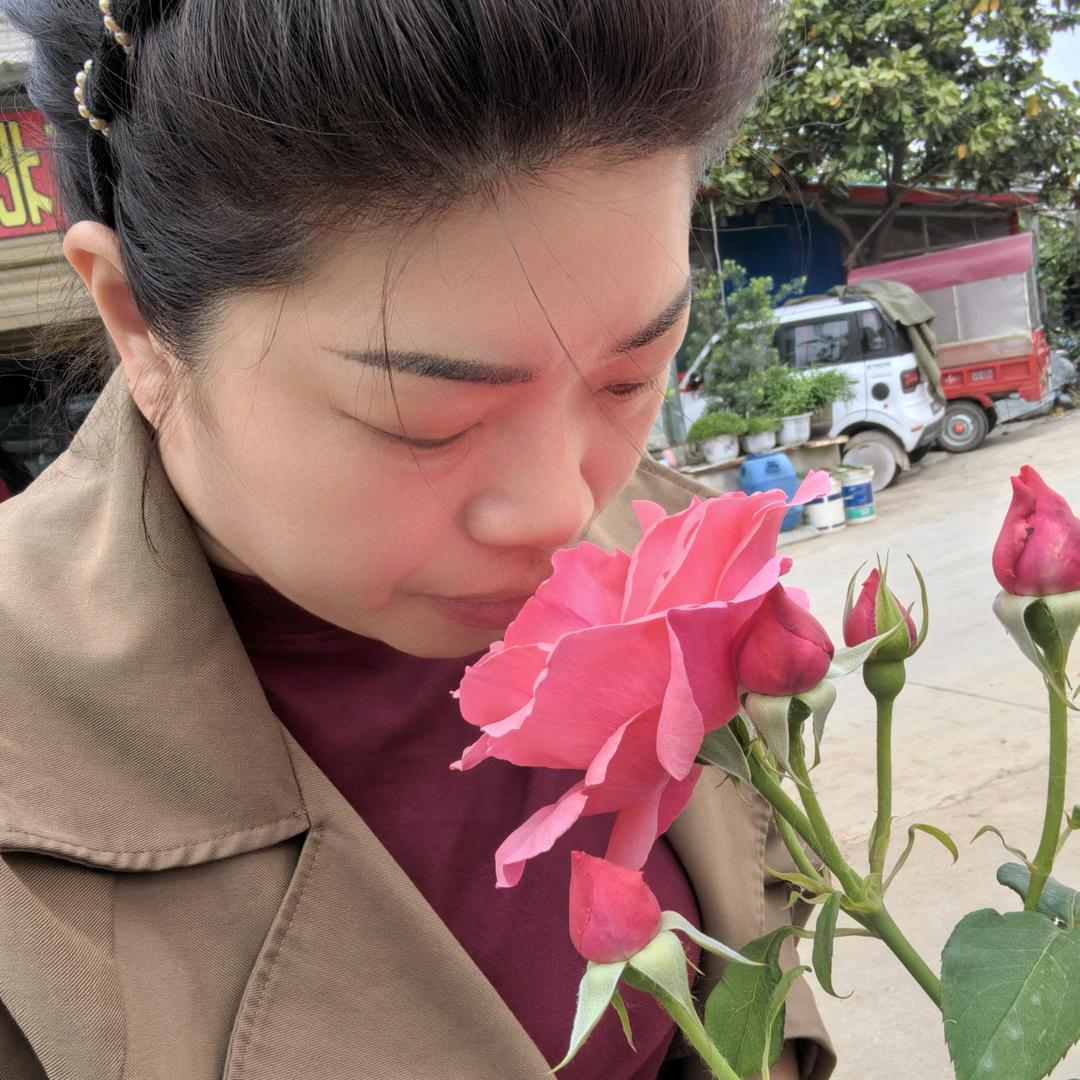 凤