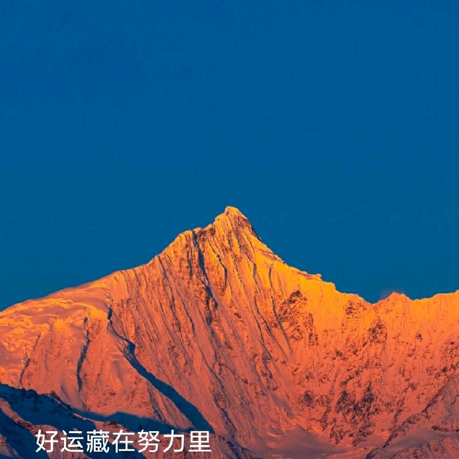 薅羊毛的君君