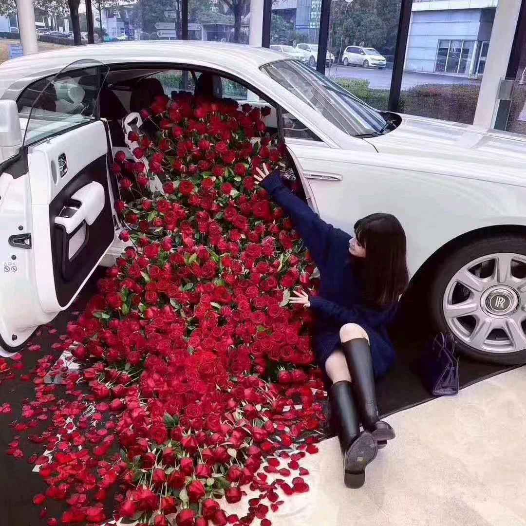 🌺🌻🌹🌷…齐曼姑