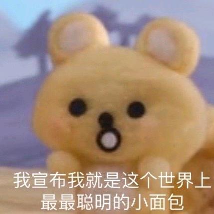 一车面包人🍞