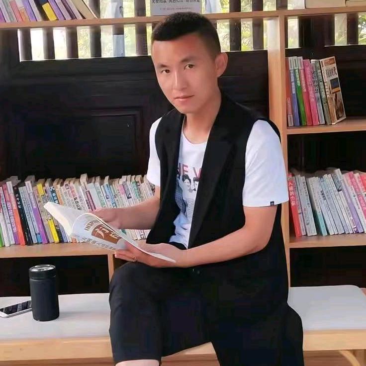 莫非宠物