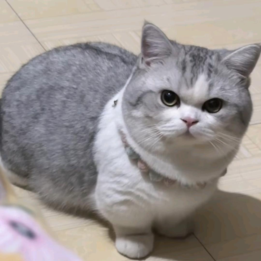 W995