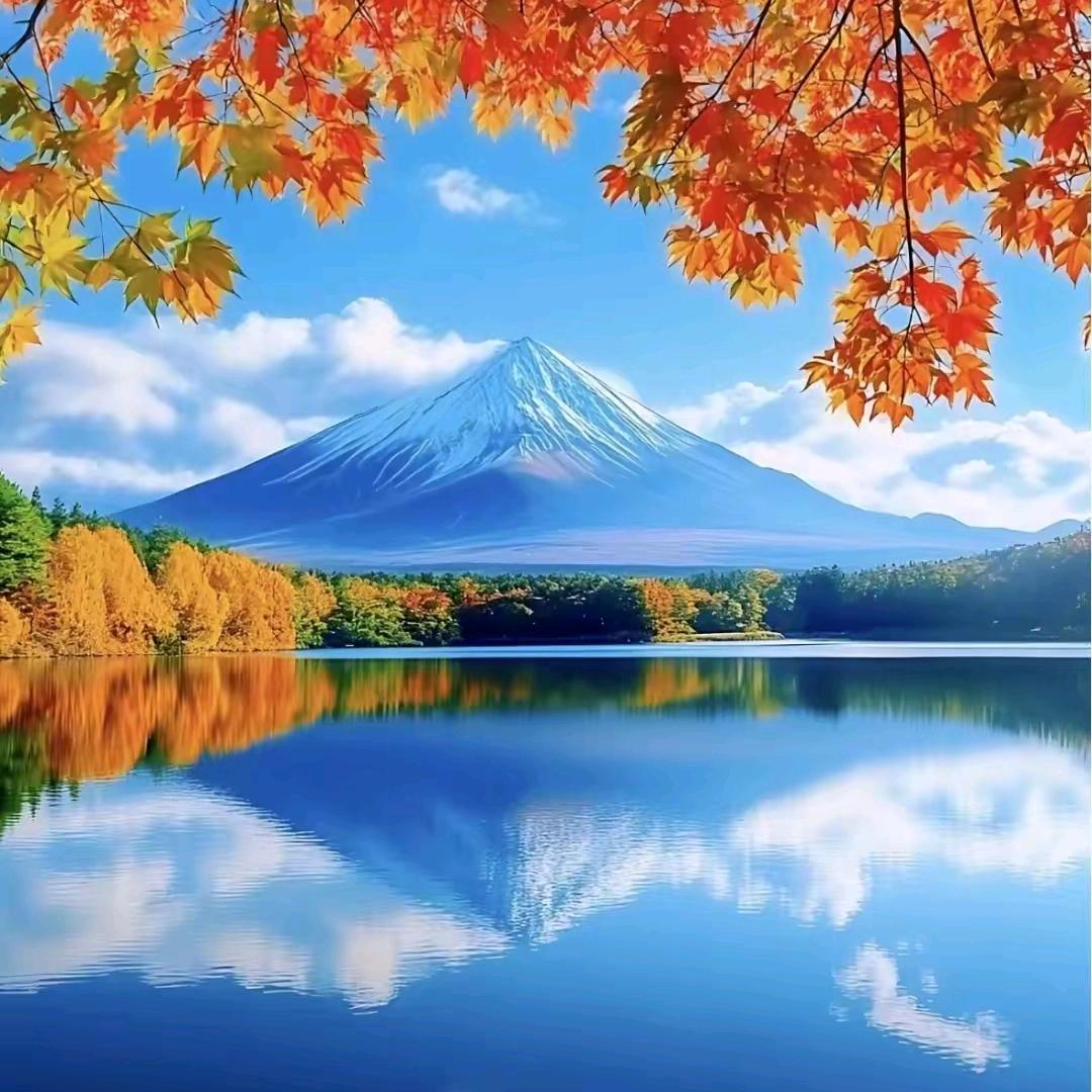 苹果