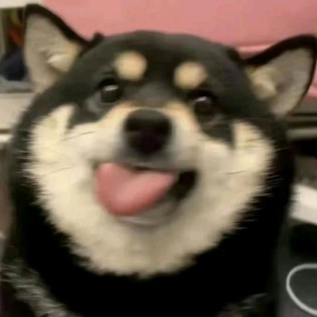 这个世界会好的