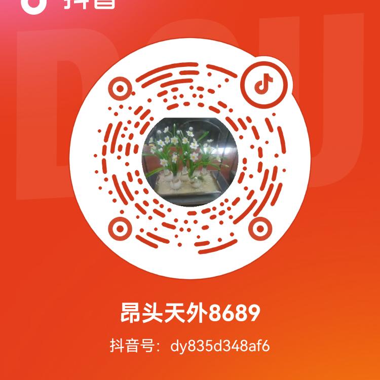 昂头天外8689