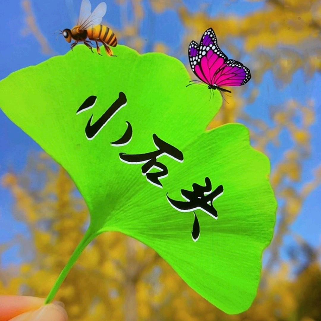 廖三三