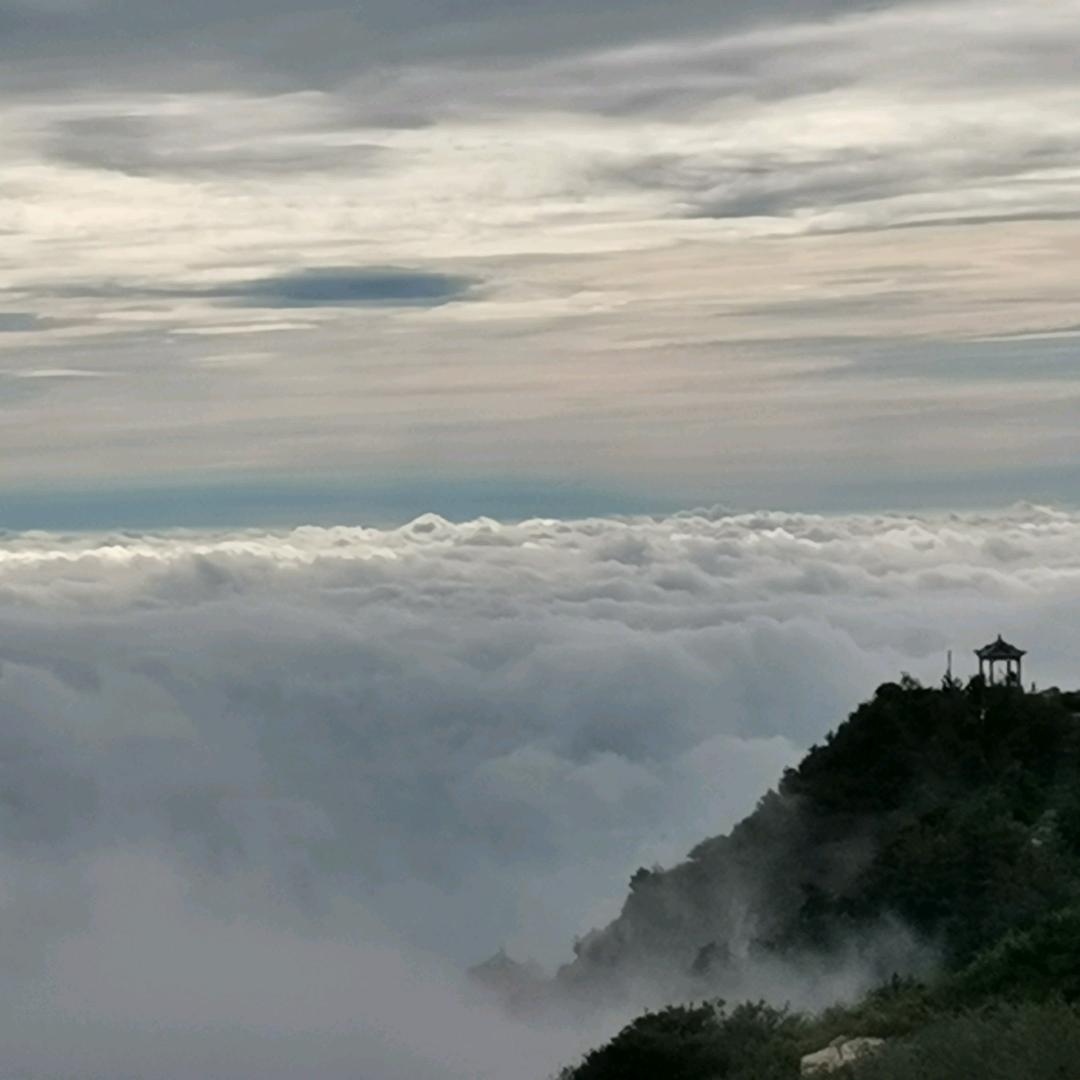 倚天万里需长剑