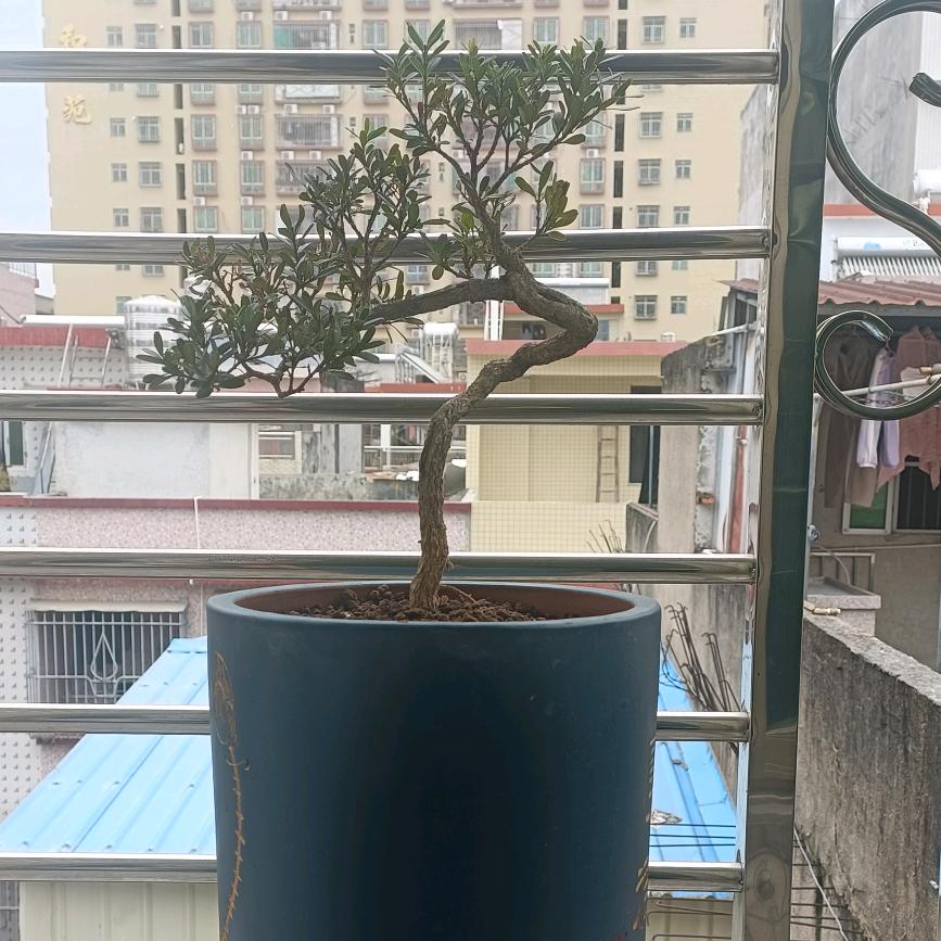 拥有