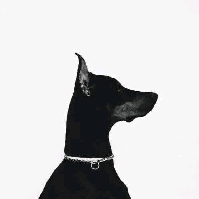 不愿透露姓名的小🚗