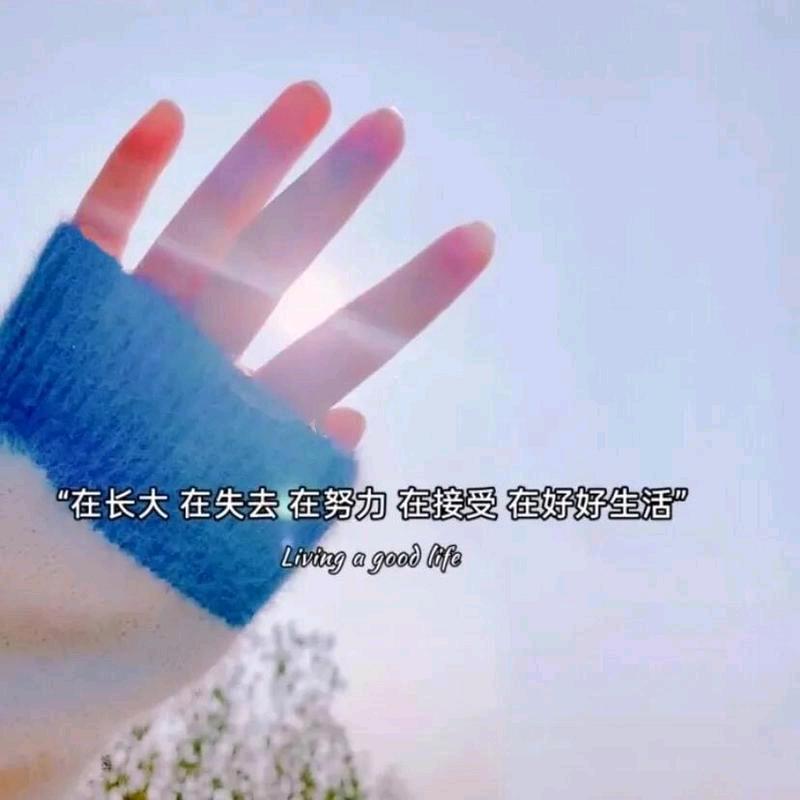 财哥