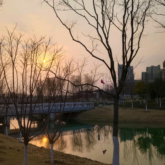 商铺档口农贸市场销售