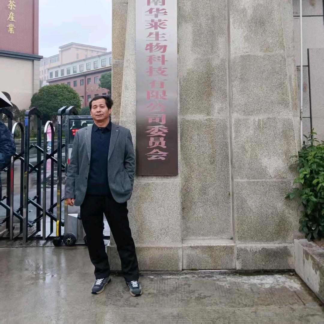梦中情人