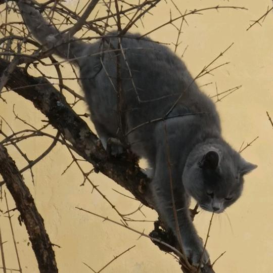 钉子爱钓鱼
