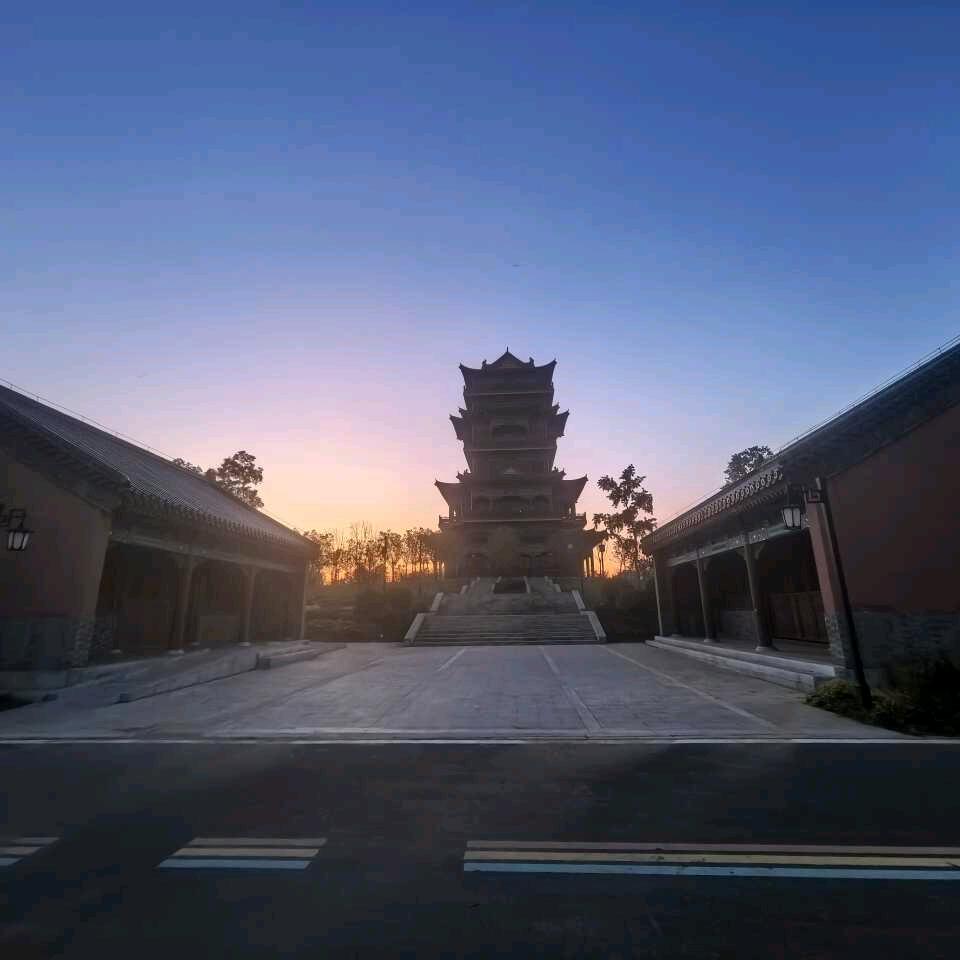 大木设计