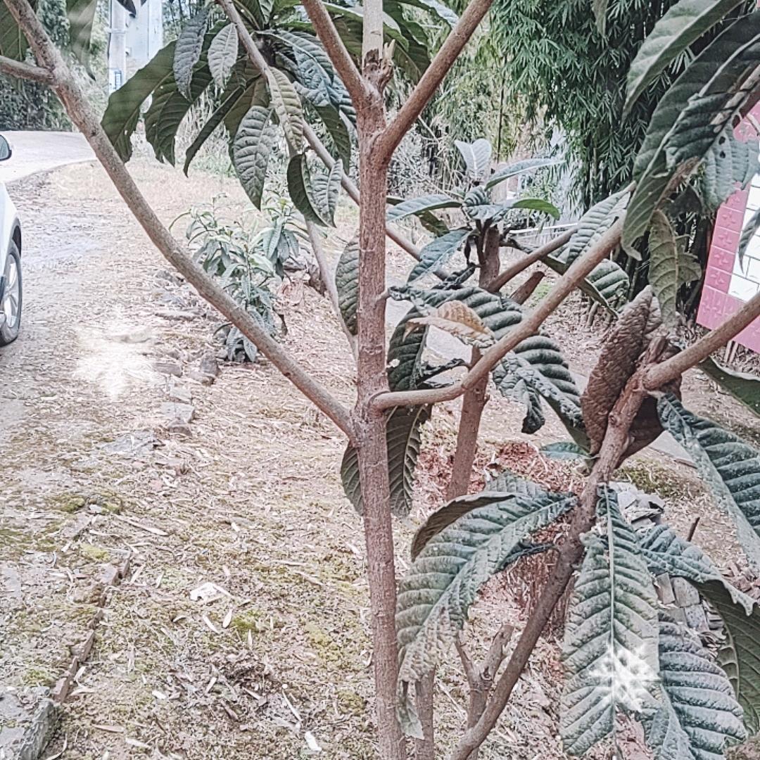 回收数码电子手机旧衣服