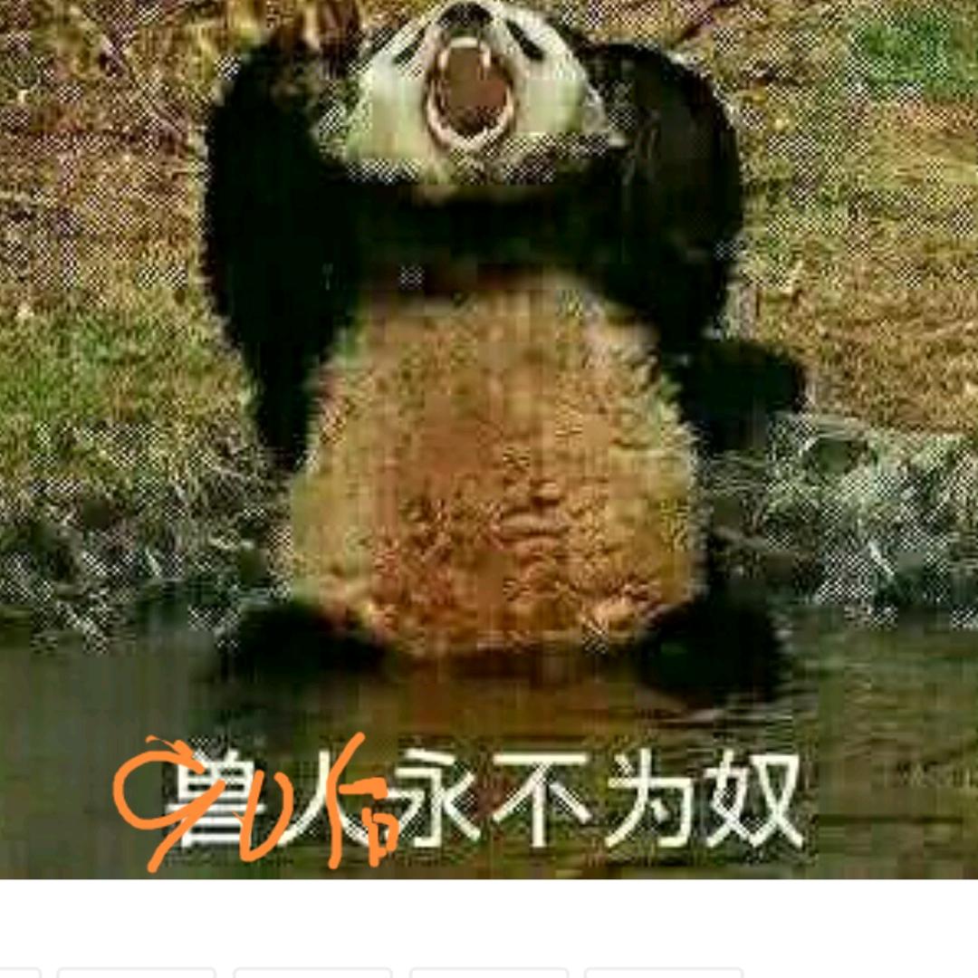裸辞编制开心快乐朱春九（考虑再次考编）
