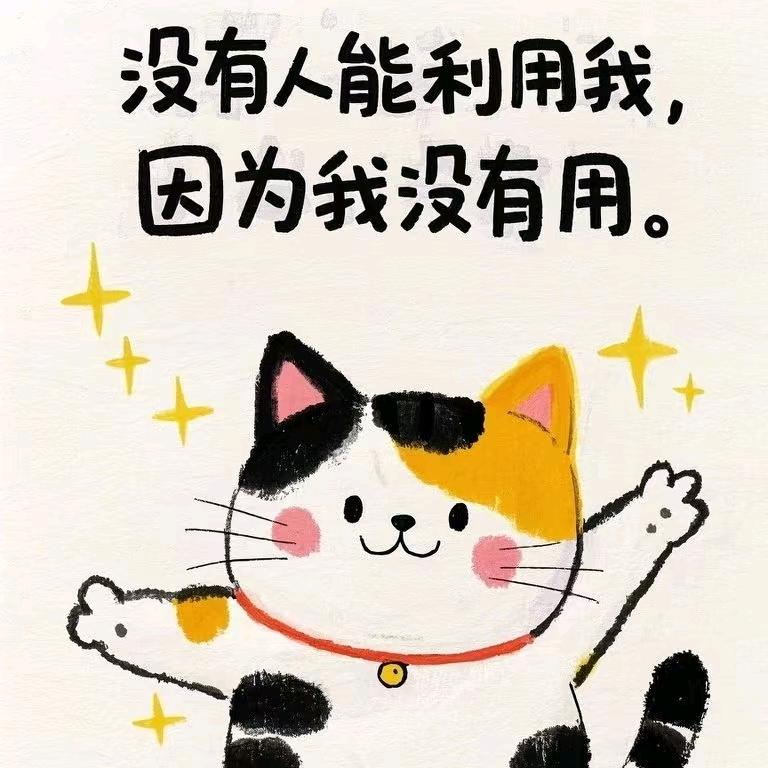 ✨*✨懒猪