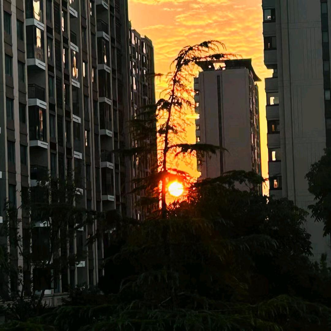 昔日枷锁本是梦  无心无相亦无我