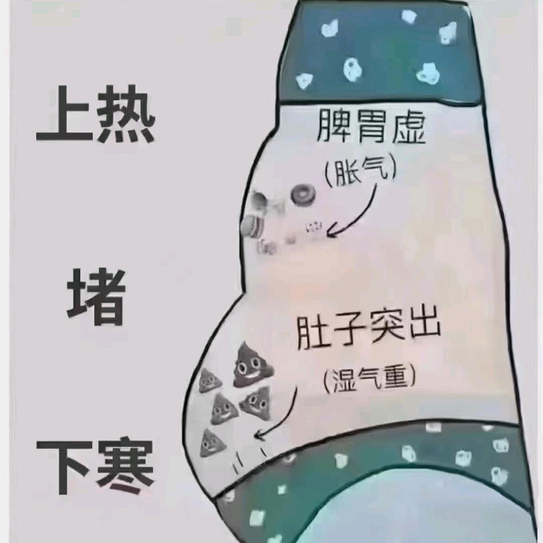 健康小能手