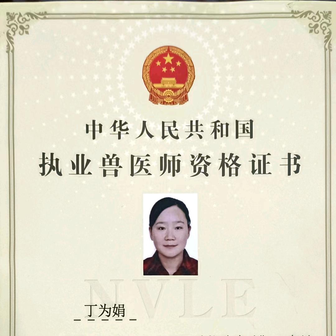 小丁说养猪