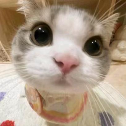 模拟题把我cpu干烧了.