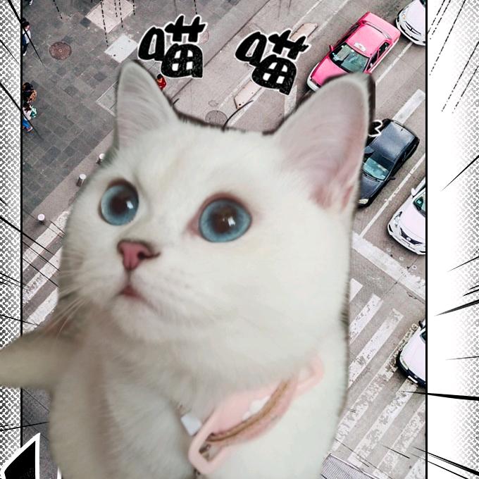 纯音乐，请欣赏