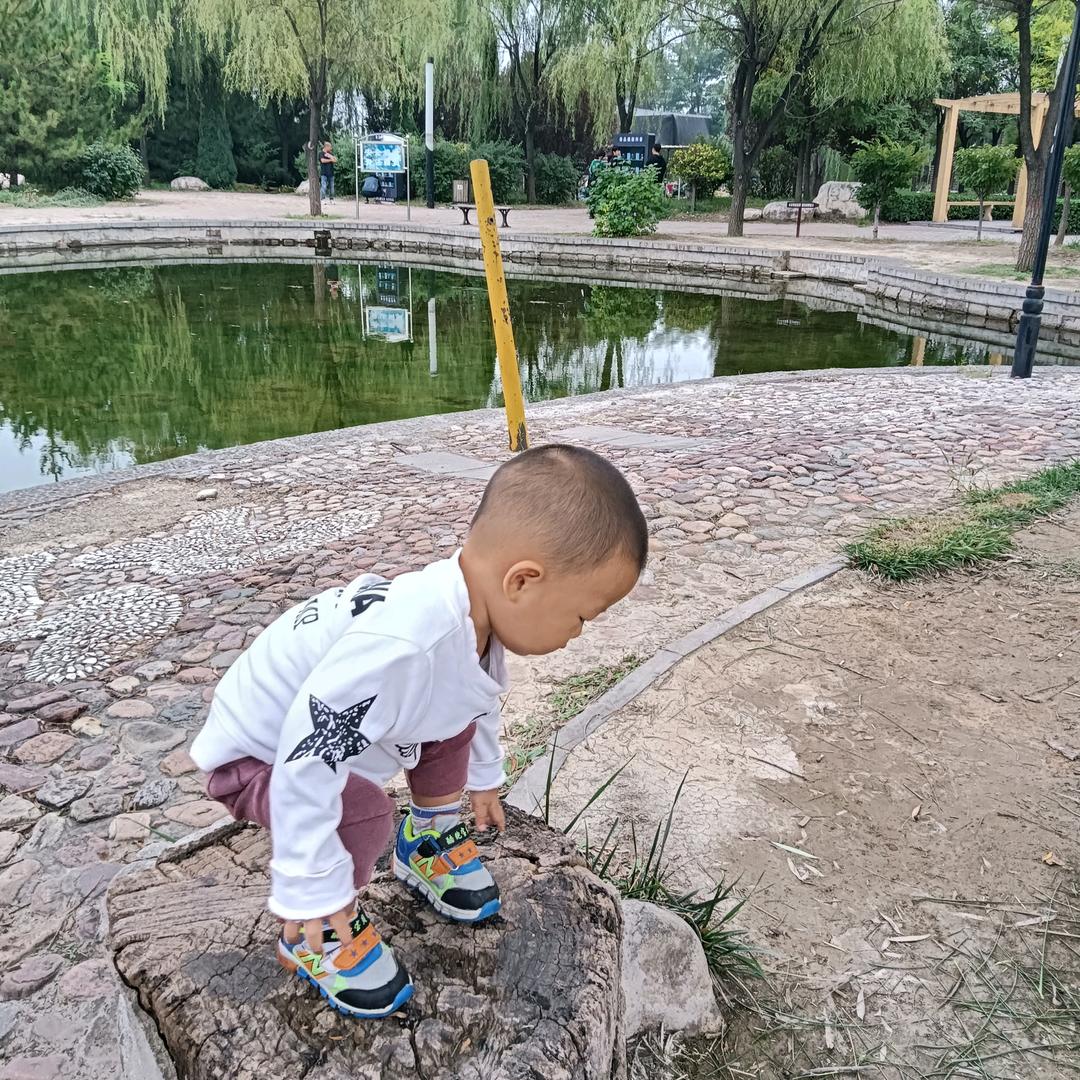 神兽的日常