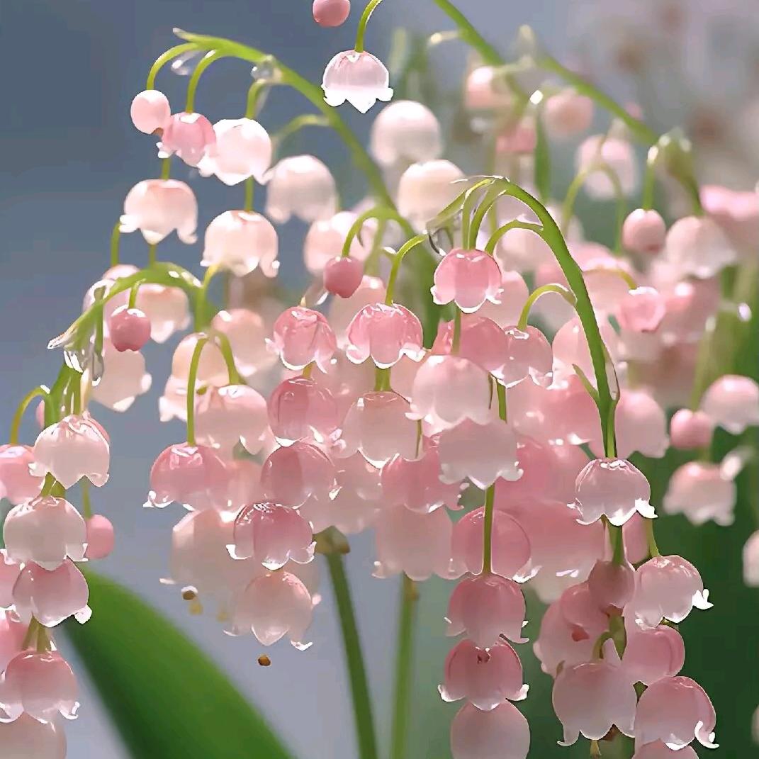 树洞里的小松鼠