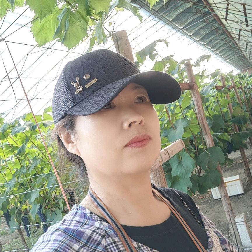 白城金宝葡萄园