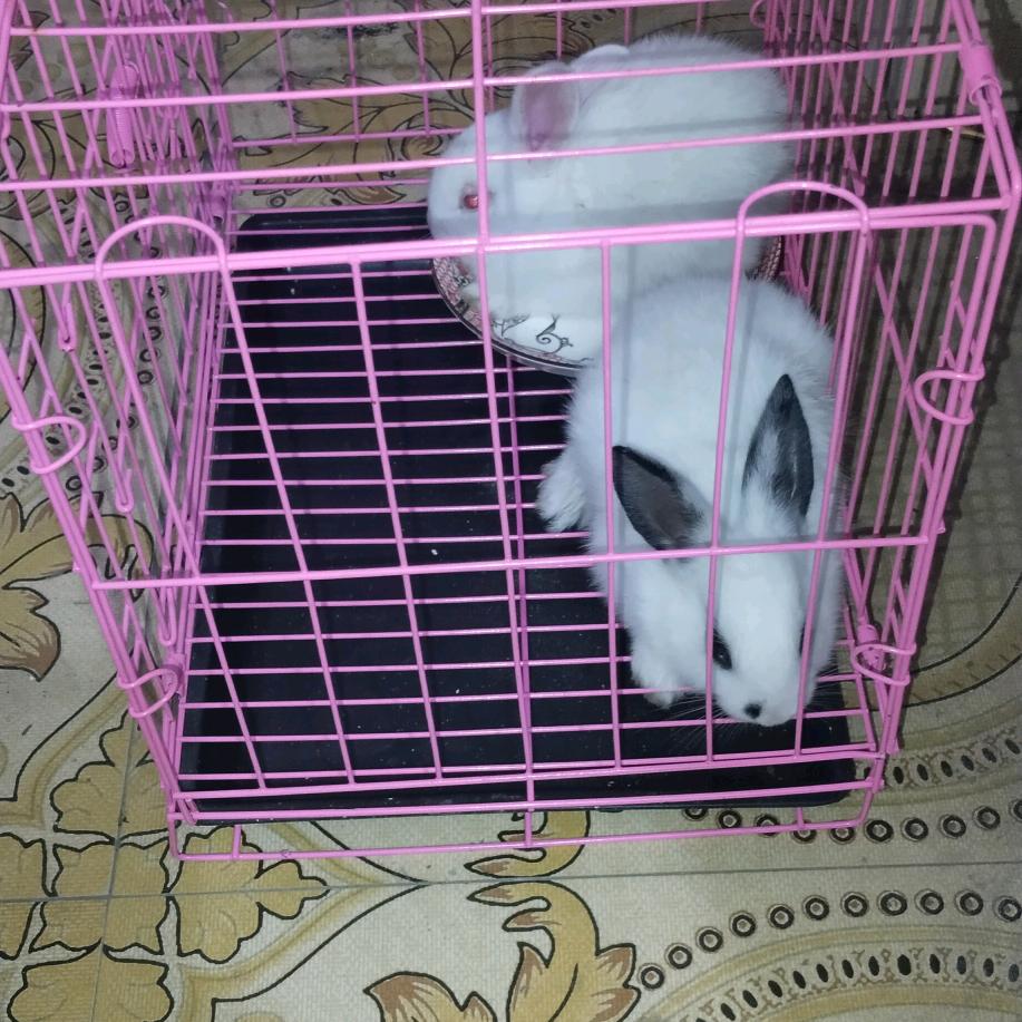 刘贵全☆☆☆☆