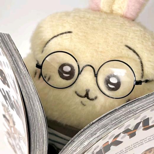 爱吃章鱼小丸子