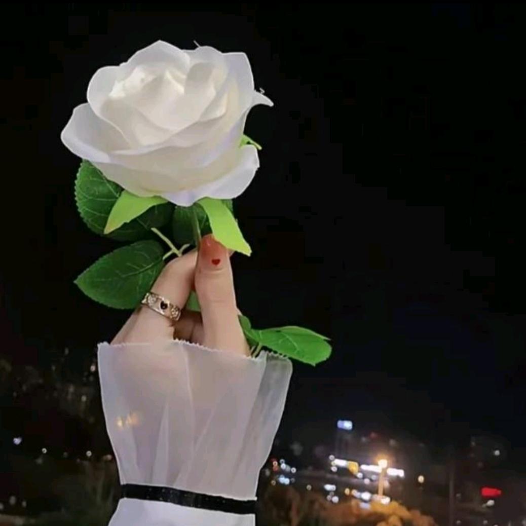 ✨百合之恋🌷
