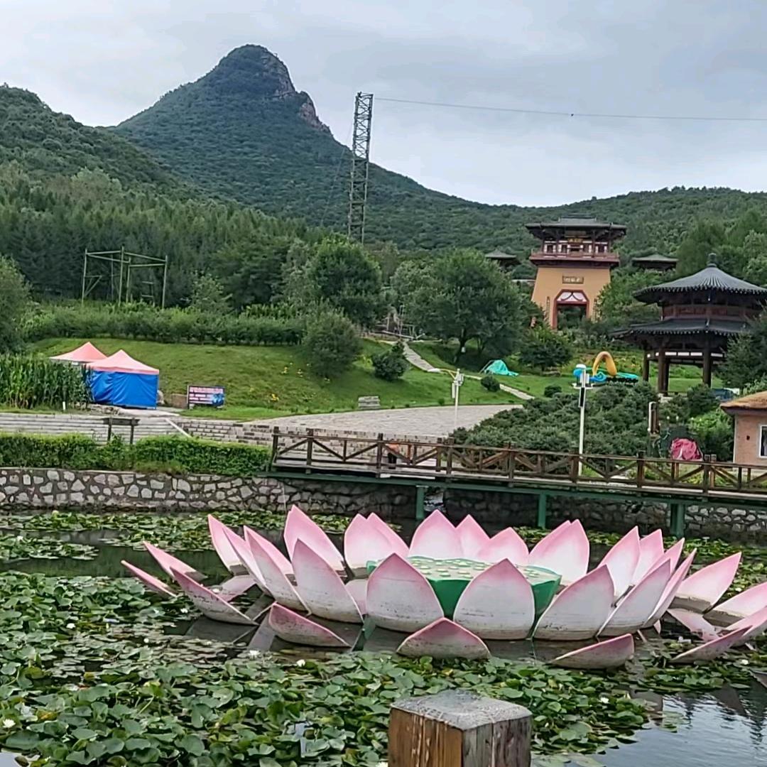 鸿运当头
