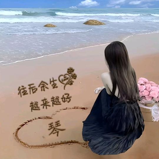 琴