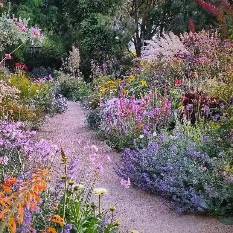 花径鲜花斗南批发