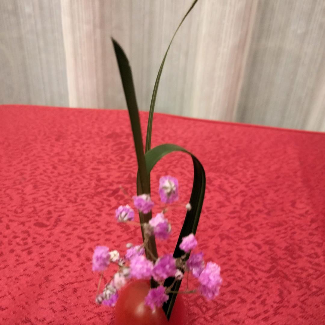黄小米