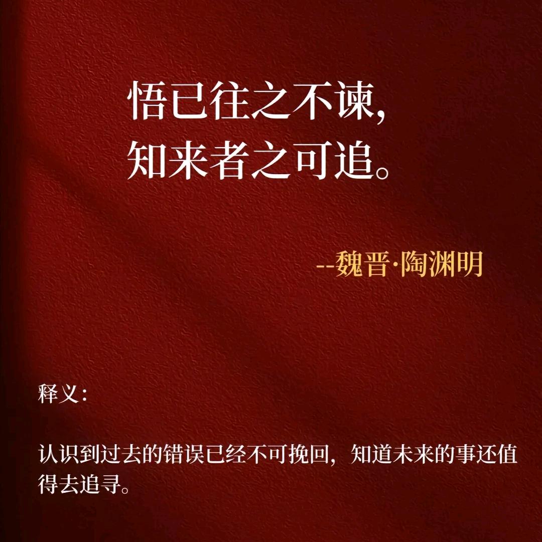 小蔡一碟