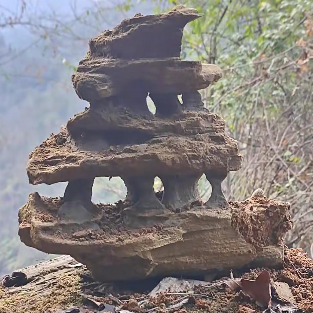 武陵石湘西豹子