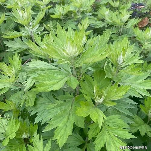 我没有文化，我是文盲，我是李同学。