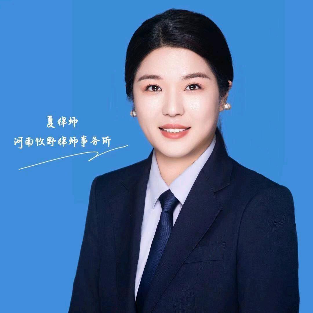 夏律师日常聊天局