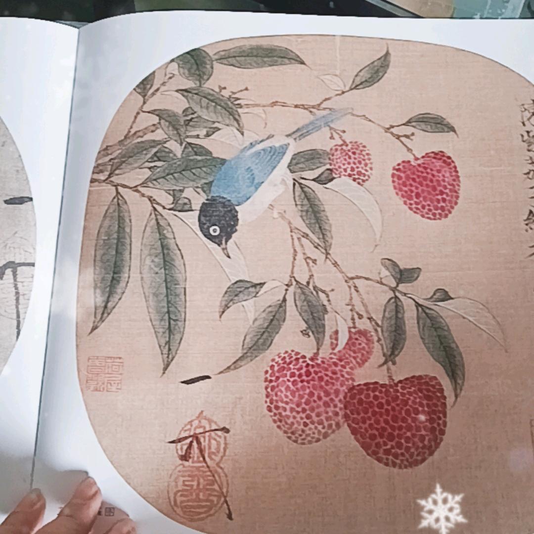 夂阳红