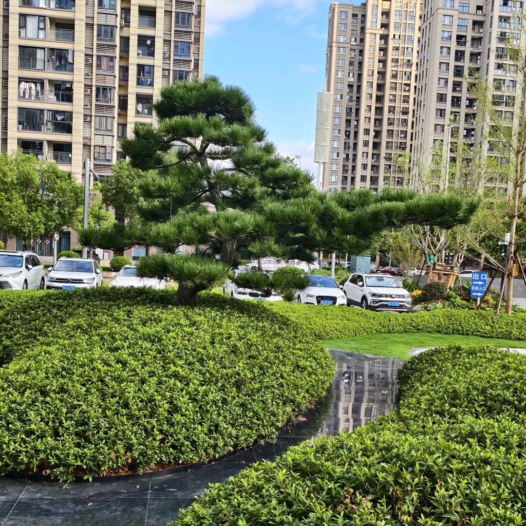 重庆最后的深情