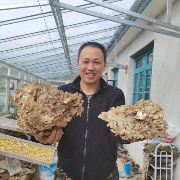 亮剑长白山特产