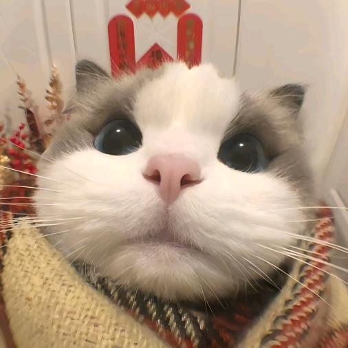 灿悟云百货
