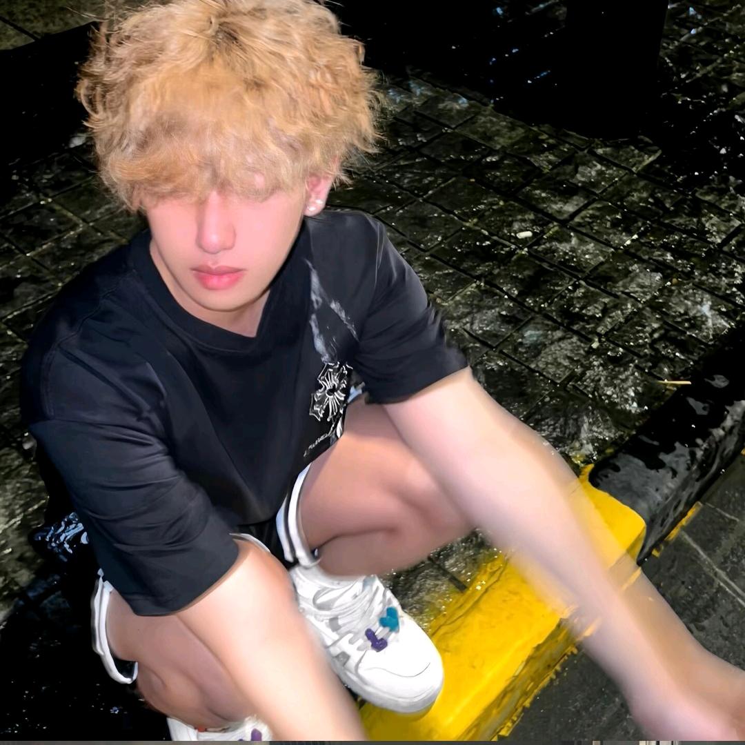 北纬67度以北的雪