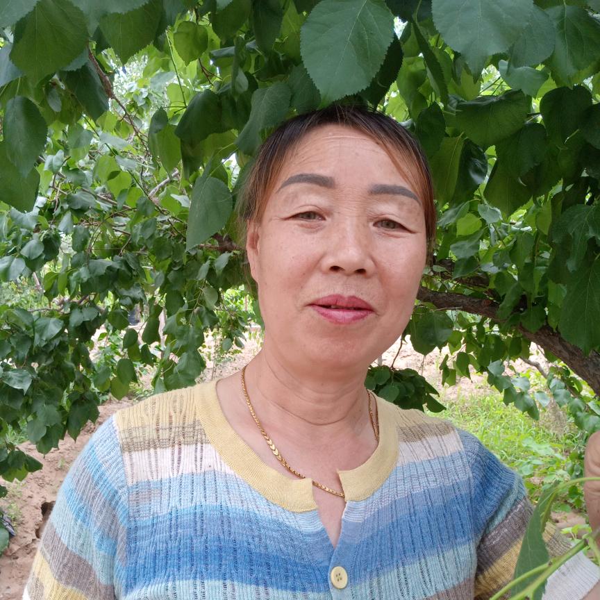 l暖心妈妈