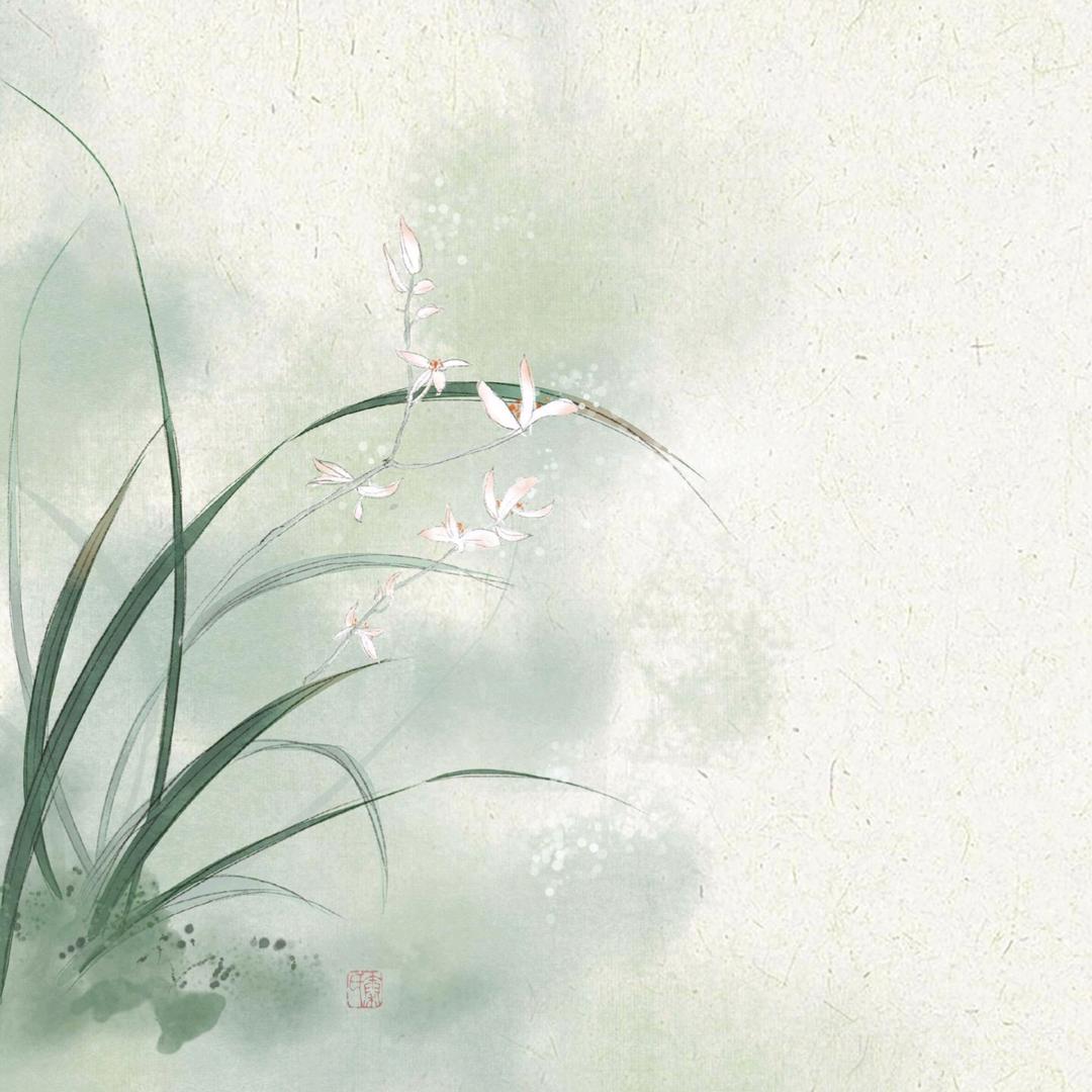 洛羽飞花