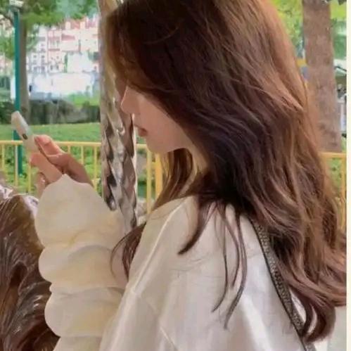 杨姑娘（单身）