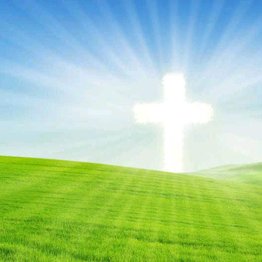 感谢赞美[合十]